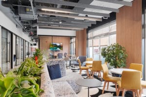 Seating Area with Acoustic Treatments